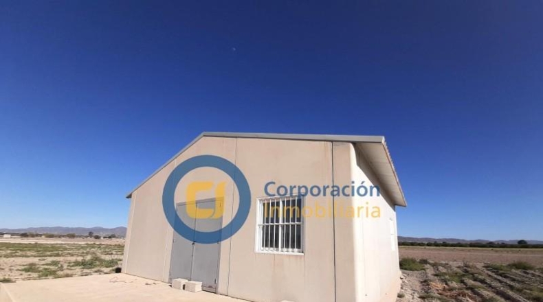 Murcia - Lorca - 5000m2