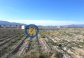 Non-developable land for sale on España, Lorca, ref: TR130808 photo