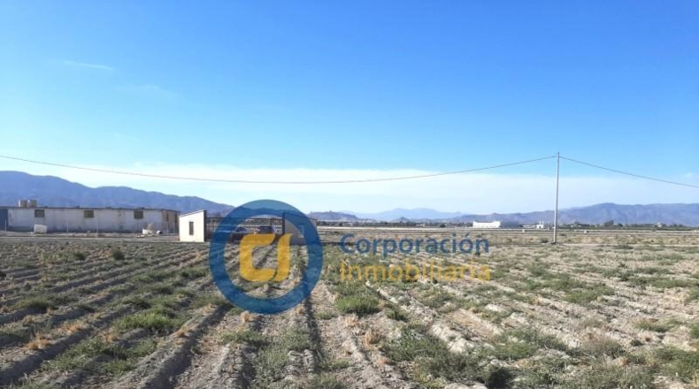 Murcia - Lorca - 5000m2