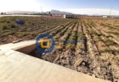 Non-developable land for sale on España, Lorca, ref: TR130808 photo