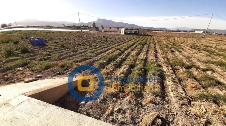 Murcia - Lorca - 5000m2