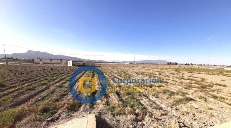 Murcia - Lorca - 5000m2