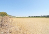 Non-developable land for sale on España, Doñinos de Salamanca, ref: TR167425 photo