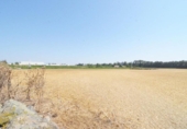 Non-developable land for sale on España, Doñinos de Salamanca, ref: TR167425 photo