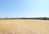 Non-developable land for sale on España, Doñinos de Salamanca, ref: TR167425 photo