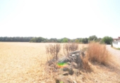 Non-developable land for sale on España, Doñinos de Salamanca, ref: TR167425 photo