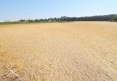 Non-developable land for sale on España, Doñinos de Salamanca, ref: TR167425 photo