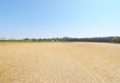 Non-developable land for sale on España, Doñinos de Salamanca, ref: TR167425 photo