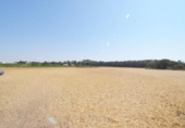 Non-developable land for sale on España, Doñinos de Salamanca, ref: TR167425 photo