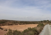 Terreny no urbanitzable en venda a la España, Elx, ref.: TR124905 foto