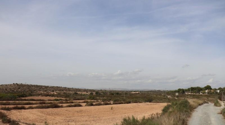 Alicante - Elche - 11000m2