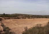 Terreny no urbanitzable en venda a la España, Elx, ref.: TR124905 foto