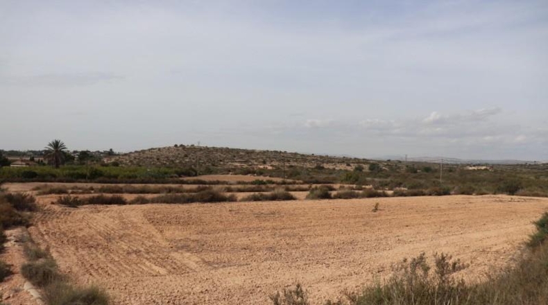 Alicante - Elche - 11000m2