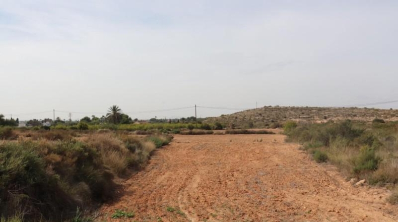 Alicante - Elche - 11000m2