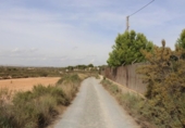 Terreny no urbanitzable en venda a la España, Elx, ref.: TR124905 foto