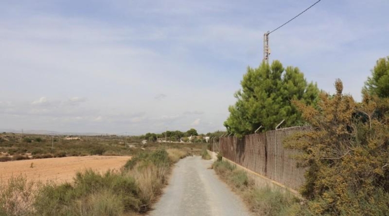 Alicante - Elche - 11000m2