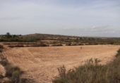 Terreny no urbanitzable en venda a la España, Elx, ref.: TR124905 foto
