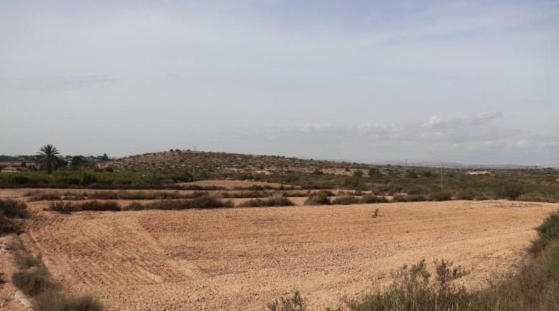 Alicante - Elche - 11000m2