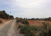 Terreny no urbanitzable en venda a la España, Elx, ref.: TR124905 foto