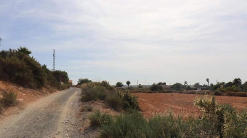 Alicante - Elche - 11000m2