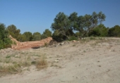 Land suitable for development for sale on España, Benissa, ref: TR125132 photo