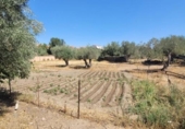 Sòl urbà en venda a la España, Villanueva del Duque, ref.: TR125960 foto