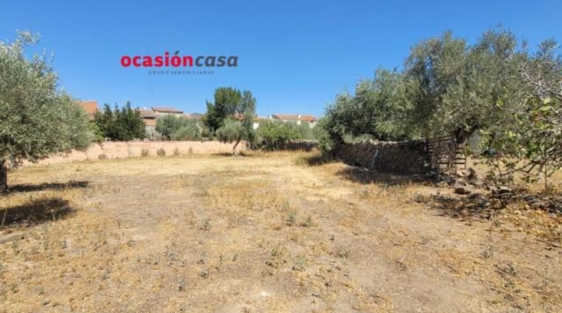 Córdoba - Villanueva del Duque - 1791m2