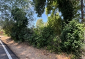 Sòl urbà en venda a la España, Encinarejo de Córdoba, ref.: TR131874 foto
