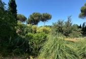 Sòl urbà en venda a la España, Encinarejo de Córdoba, ref.: TR131874 foto