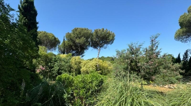 Cordova - Còrdova - 1450m2