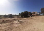 Casa con terreno en venta en la España, Cuevas del Almanzora, ref: TR293336 foto