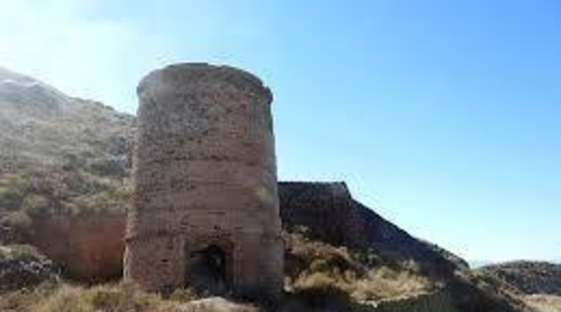 Almería - Cuevas del Almanzora - 5000m2