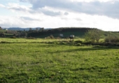 Non-developable land for sale on España, Suances, ref: TR127486 photo