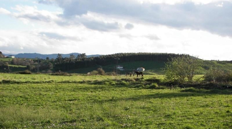 Cantàbria - Suances - 12000m2