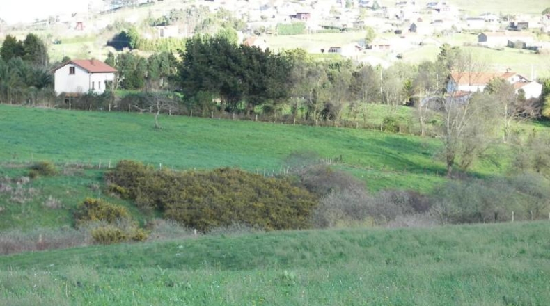 Cantàbria - Suances - 12000m2