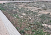 Sòl urbà en venda a la España, El Ejido, ref.: TR127801 foto
