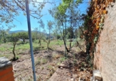 Terreny no urbanitzable en venda a la España, Vacarisses, ref.: TR125497 foto