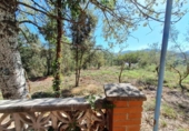Terreny no urbanitzable en venda a la España, Vacarisses, ref.: TR125497 foto
