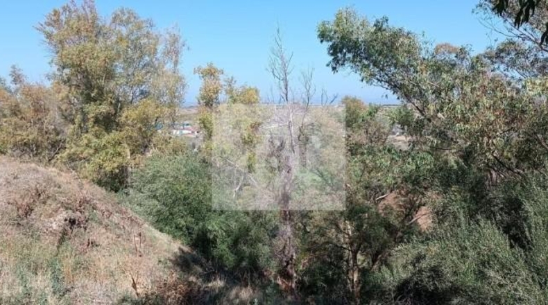 Cáceres - Galisteo - 45614m2
