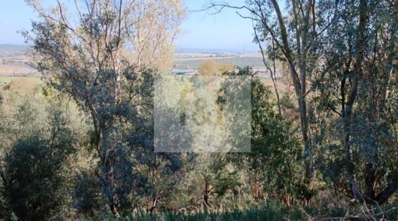 Cáceres - Galisteo - 45614m2