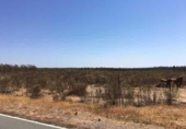 Non-developable land for sale on España, Niebla, ref: TR237102 photo