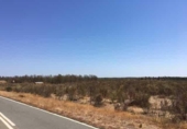 Non-developable land for sale on España, Niebla, ref: TR237102 photo