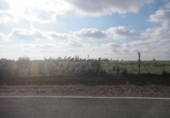 Non-developable land for sale on España, Niebla, ref: TR237102 photo