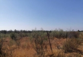 Non-developable land for sale on España, Niebla, ref: TR237102 photo