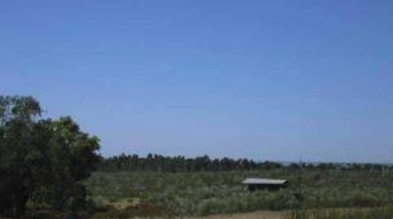 Huelva - Niebla - 37m2