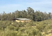 Non-developable land for sale on España, Niebla, ref: TR237102 photo