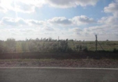 Non-developable land for sale on España, Niebla, ref: TR237102 photo