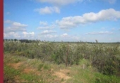 Non-developable land for sale on España, Niebla, ref: TR237102 photo