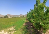 Земля, подлежащая урбанизации на продажу у города Montealegre del Castillo Фото