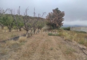 Земля, подлежащая урбанизации на продажу у города Montealegre del Castillo Фото